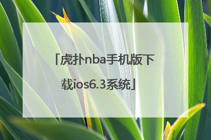 虎扑nba手机版下载ios6.3系统